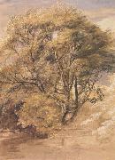 Samuel Palmer The Willow china oil painting artist